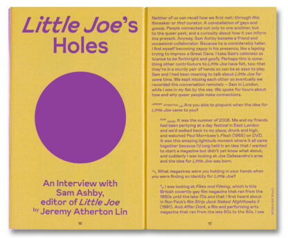 Little Joe: A Book About Queers and Cinema, Mostly - Image 3